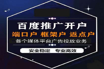 电商成功案例：竞价推广助力品牌崛起